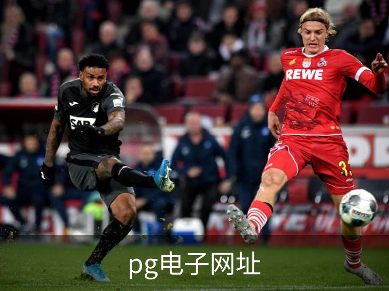 pg电子·(中国)-官方平台